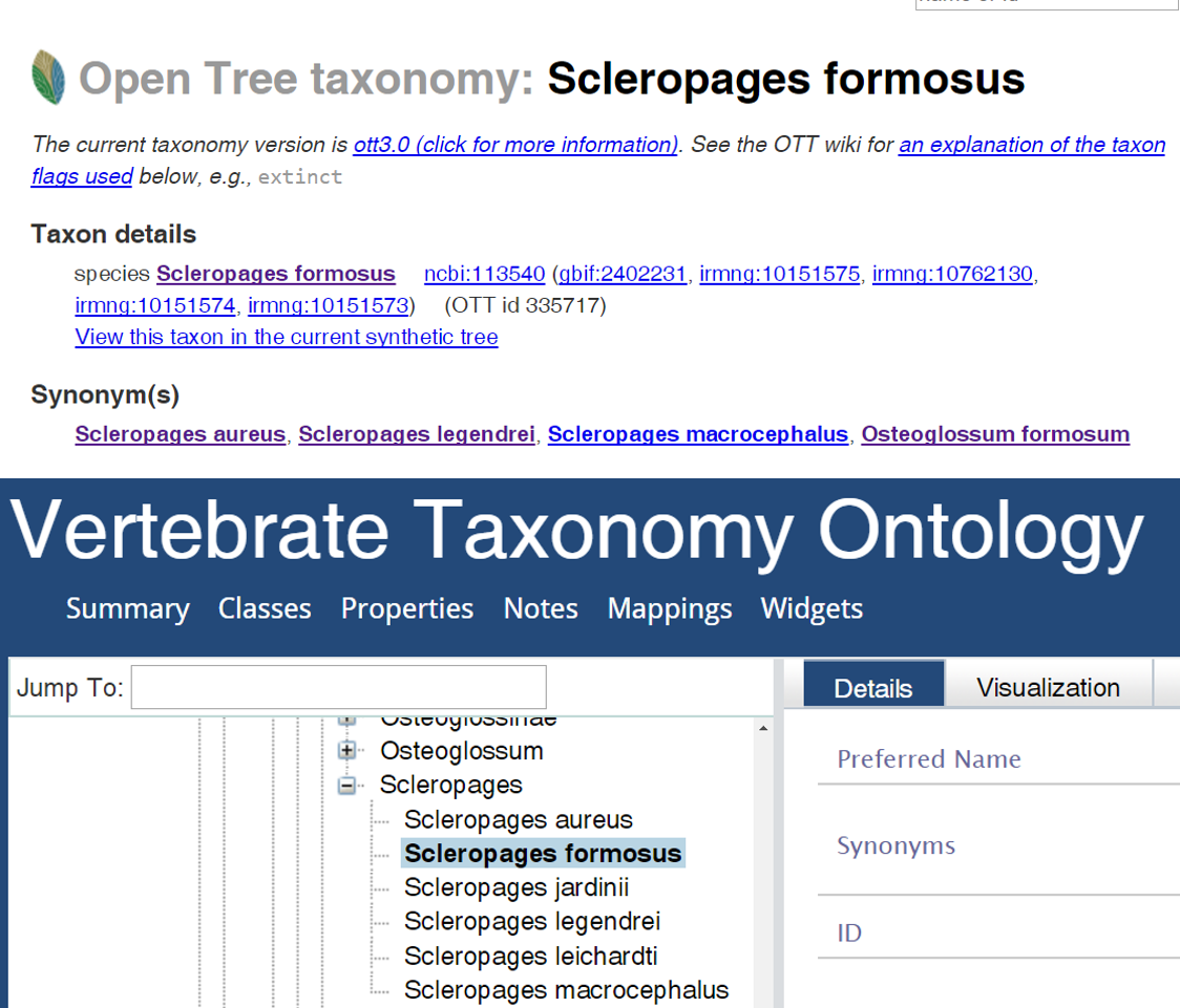 An example showing inconsistent taxonomies in OTT and VTO