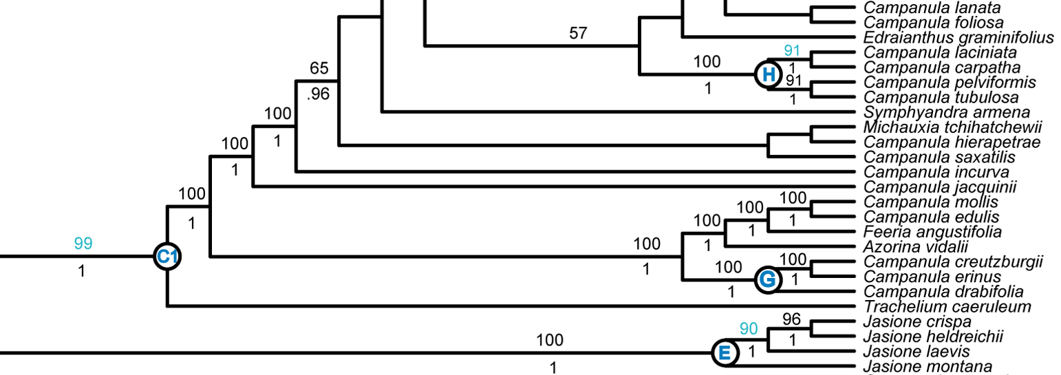 A Phyloreferencing Experiment